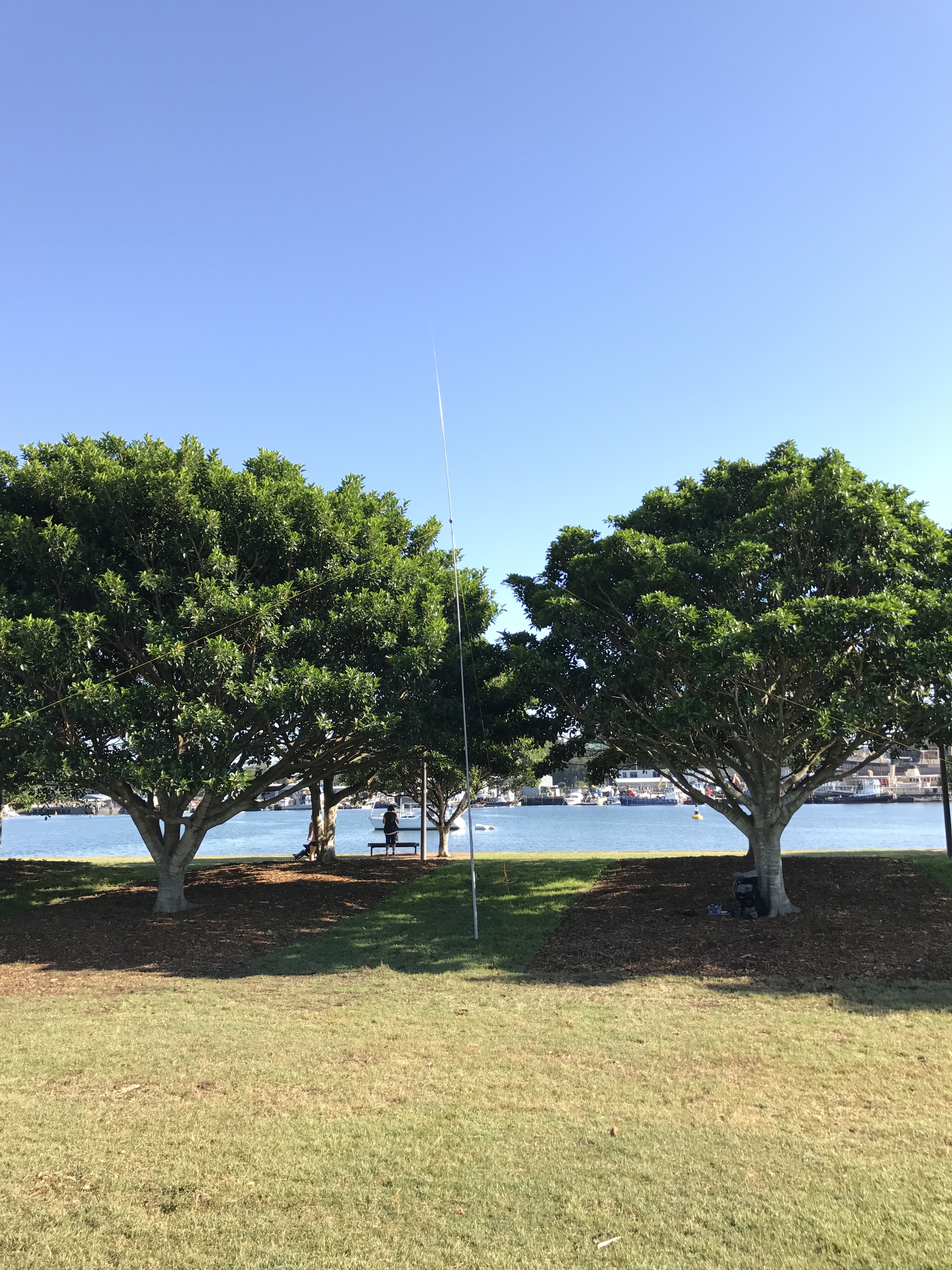 Antenna upright at Blackwattle bay