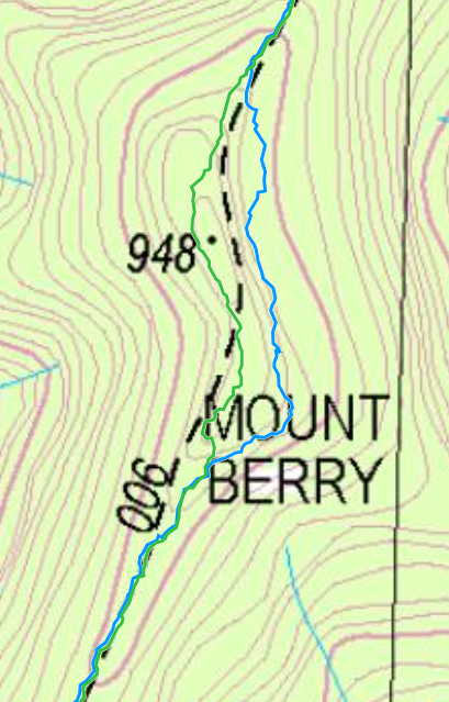 Mount Berry